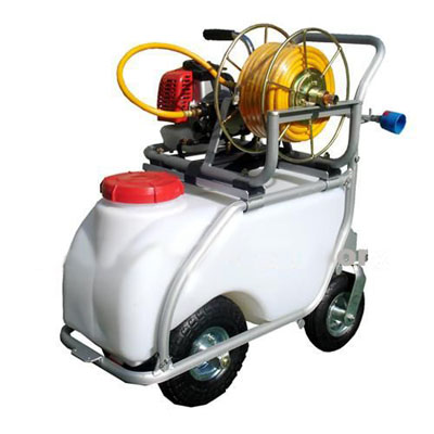 ����ʽ������